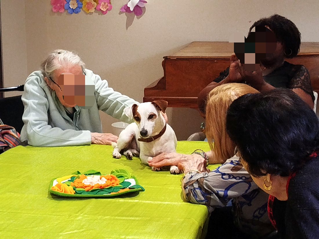 Séance de médiation animale en établissement, un chien posé sur la table au milieu du groupe
